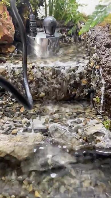 想像の10倍くらいアクティブなエビ