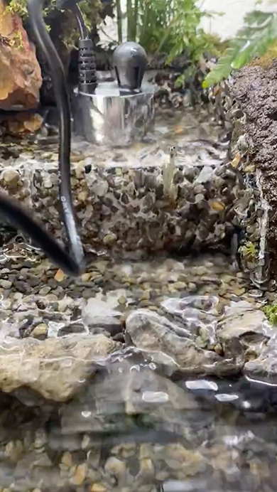 想像の10倍くらいアクティブなエビ