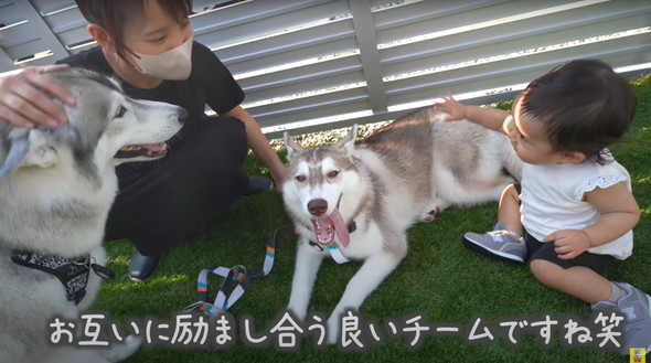 光のはやさでデカくなったデカワンコ