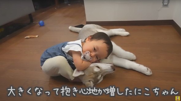 光のはやさでデカくなったデカワンコ