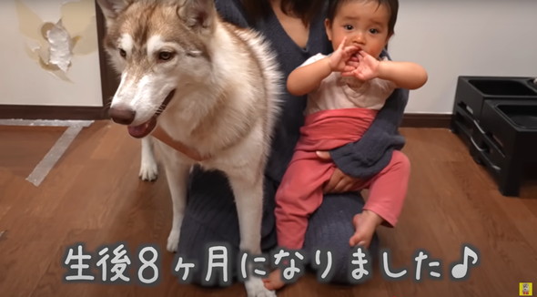 光のはやさでデカくなったデカワンコ