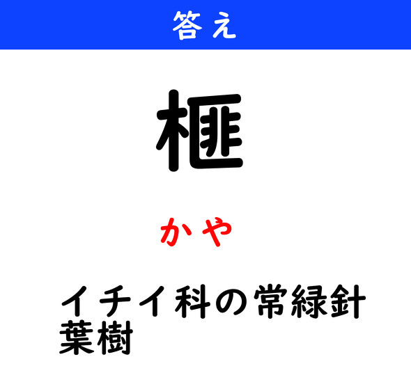 漢字クイズ　難読漢字　榧