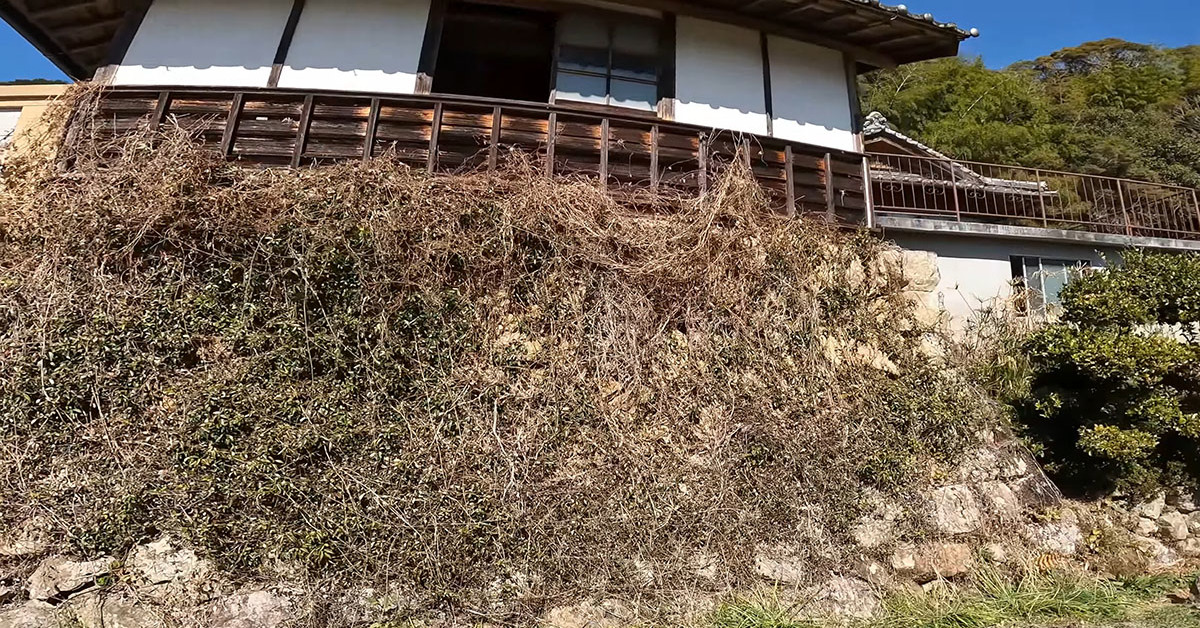 雑草ボーボーで汚い“築150年”古民家の石垣、家族が格闘したら……　見違える成果に「いや〜スッキリ」「すごい労力」（1/3） | ライフスタイル ねとらぼ