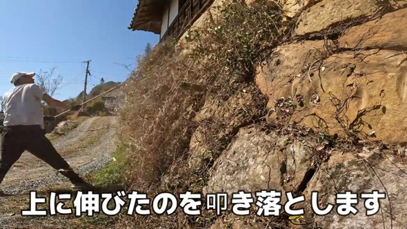 ジャングル化 石垣 伐採 草刈り 掃除 古民家