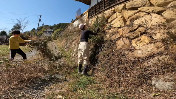 ジャングル化 石垣 伐採 草刈り 掃除 古民家