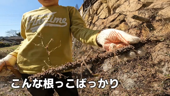 ジャングル化 石垣 伐採 草刈り 掃除 古民家