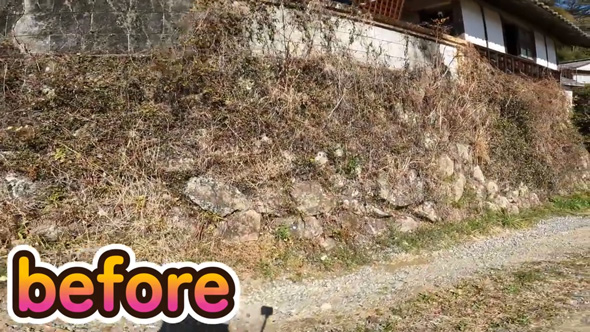 ジャングル化 石垣 伐採 草刈り 掃除 古民家