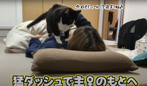 猛ダッシュでママさんの胸元へダイブするくろまめちゃん