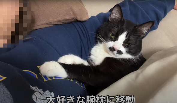 大好きなママさんの腕枕でリラックスタイム