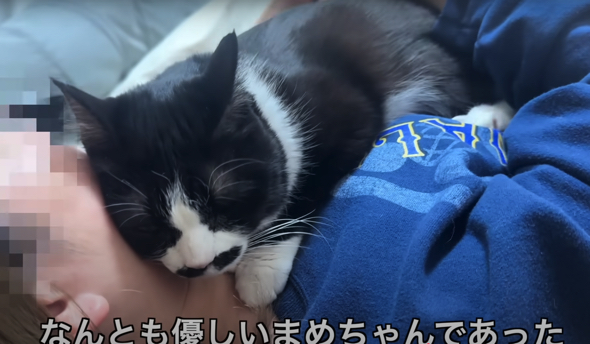 毎晩寝る時間にママさんところに来てくれる優しいくろまめちゃん