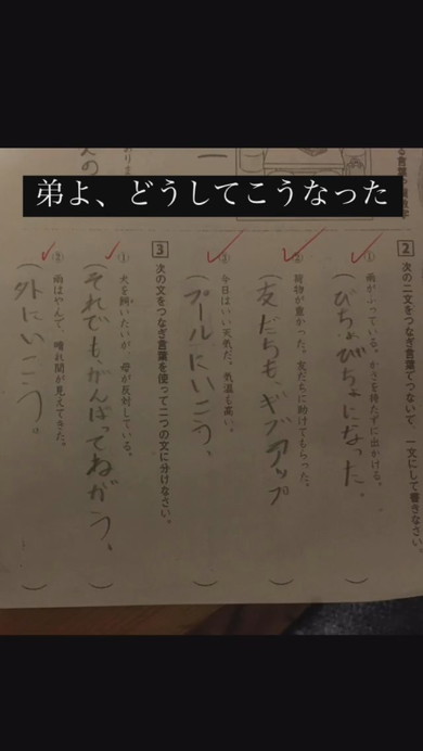 10歳の男の子による国語の珍回答