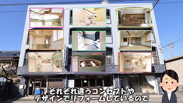 猫のための大階段付き物件