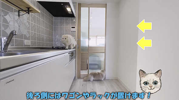 猫のための大階段付き物件