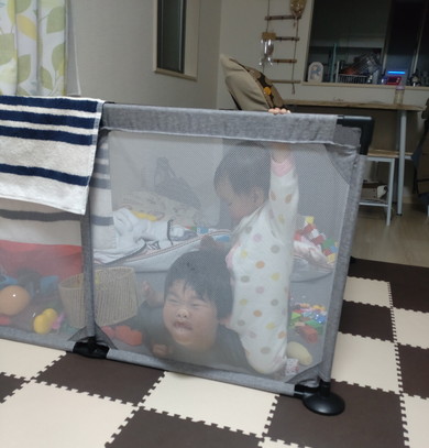 ベビーサークル内の赤ちゃんとお兄ちゃん