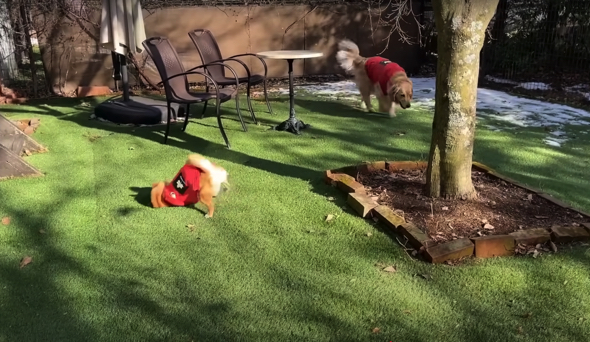 広いお庭がお気に入りの宿に到着