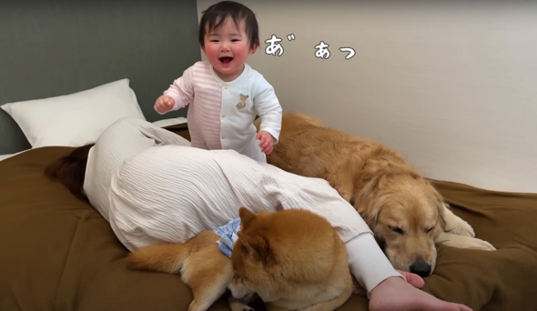 おやすみの時間に興奮状態の赤ちゃん