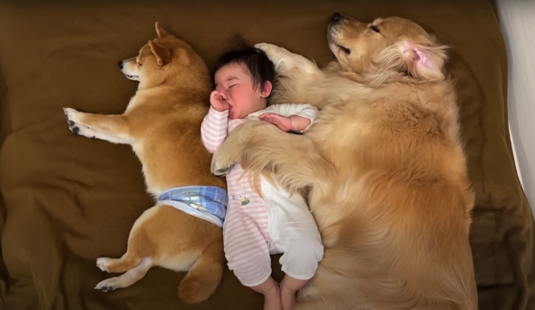 幸せすぎる川の字が完成