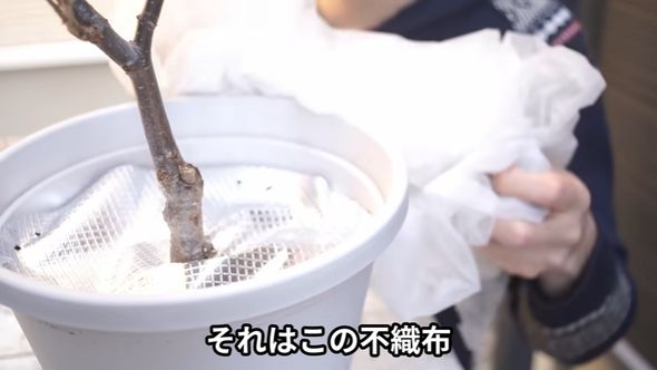 鉢植えに不織布を敷き詰める方法を紹介