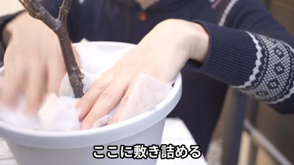 鉢植えに不織布を敷き詰める