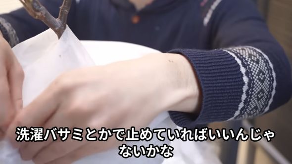 鉢植えをネットで覆う際は端部を固定すると良い