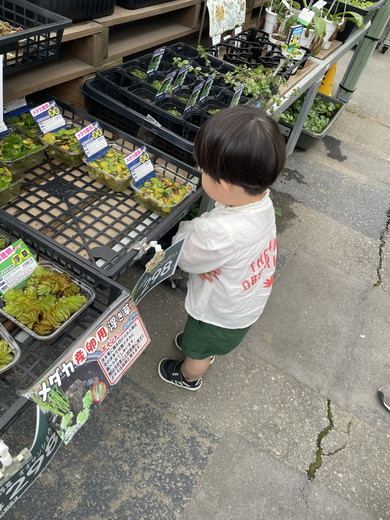 浮草を見る男の子