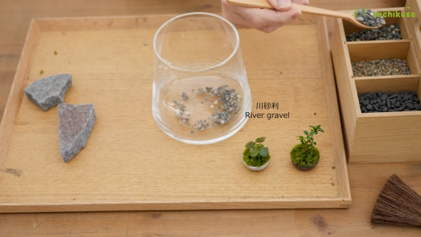 テラリウムの砂利を敷き詰めていく