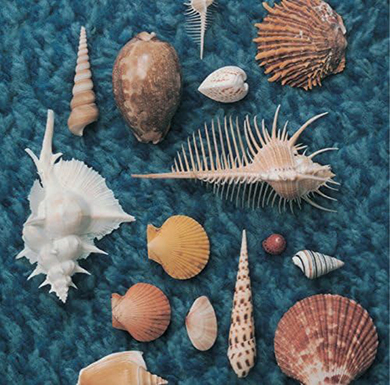 スピッツのジャケットごっこ