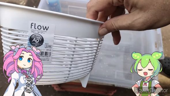 メダカを飼育するのに使うダイソーの三角コーナー