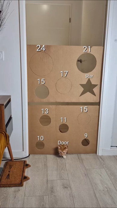 猫の通り道をふさぐと？