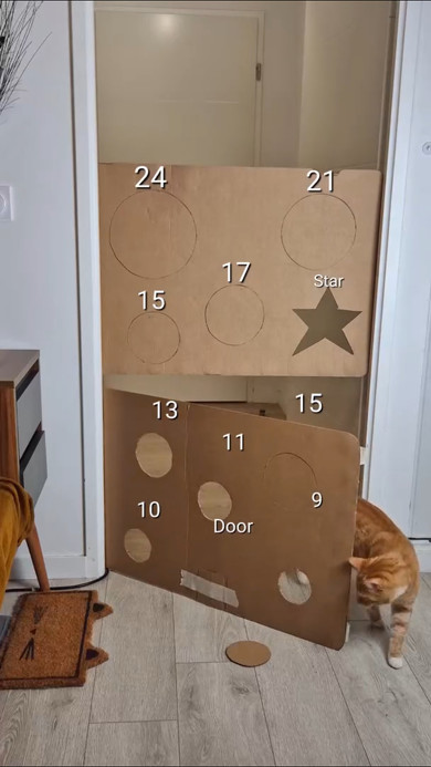 猫の通り道をふさぐと？