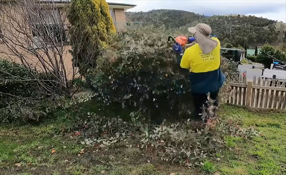 5年放置された庭の掃除