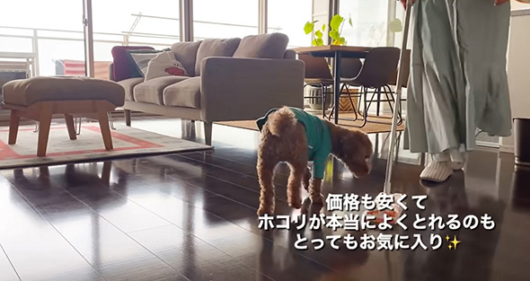 ペットがいても安心