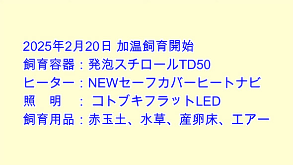 飼育容器などの説明