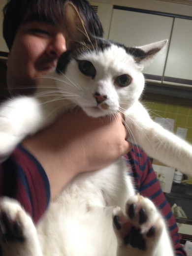 笑顔で猫ちゃんを抱っこしている男性