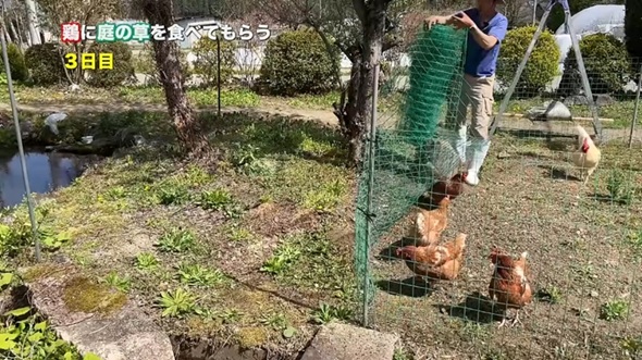 草が生い茂っている柵の外側とほとんどない内側