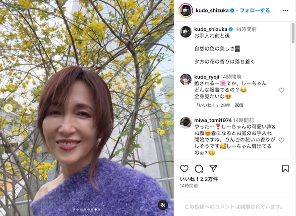 黄梅とみられる木と工藤さん