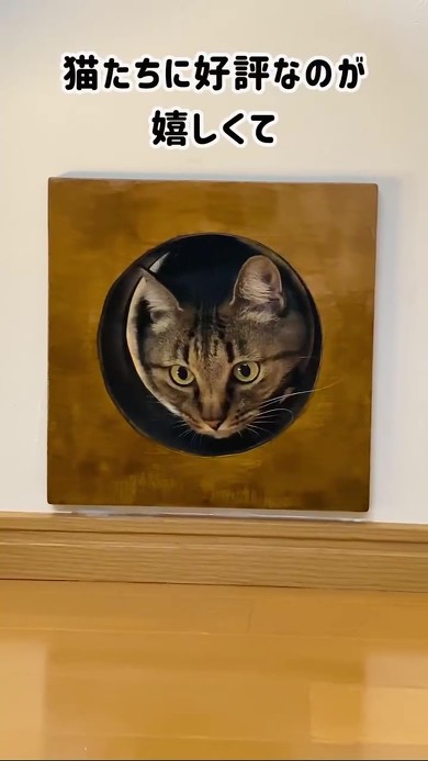 自作猫トンネル