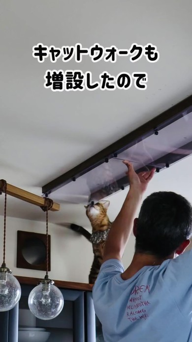 自作猫トンネル