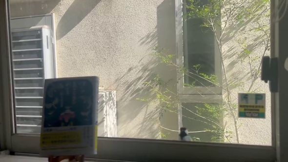 鳴き声を頼りに仲間を探している様子のシジュウカラ