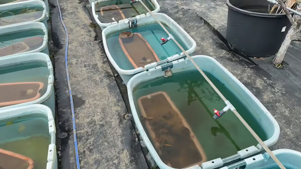 汚れた容器が並んでいる