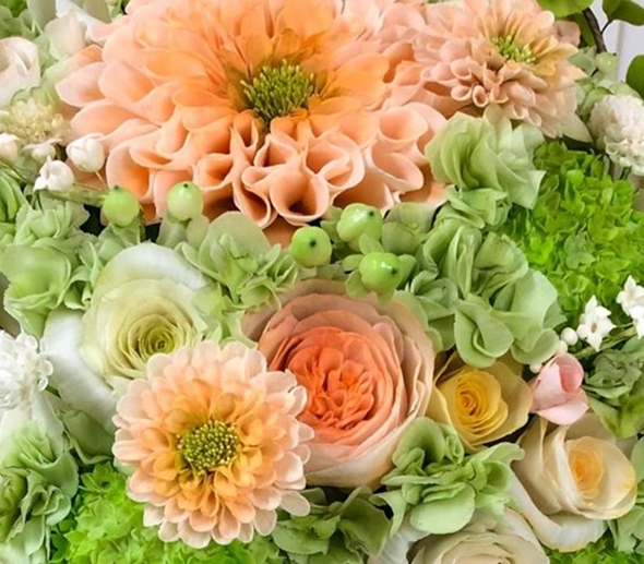 きれいなフラワーブーケ、その正体に驚愕