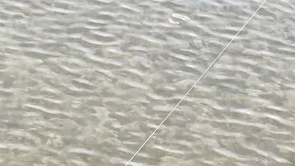 波打つ水面に白い影