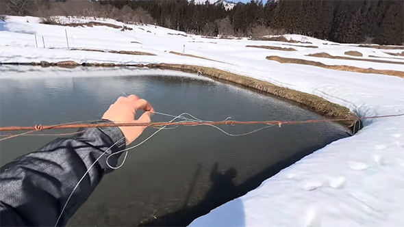 鳥よけに触れる手