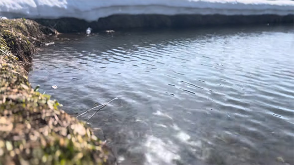 水面に反射する光