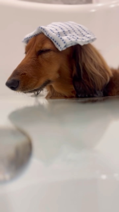 お風呂中のわびくん