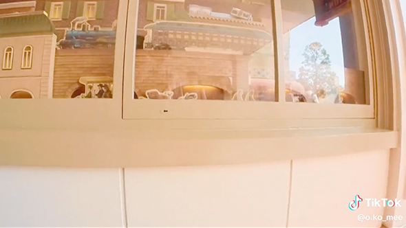 パパ目線と息子目線のディズニーランド