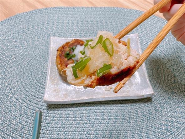 全農 ハンバーグ ねとめし