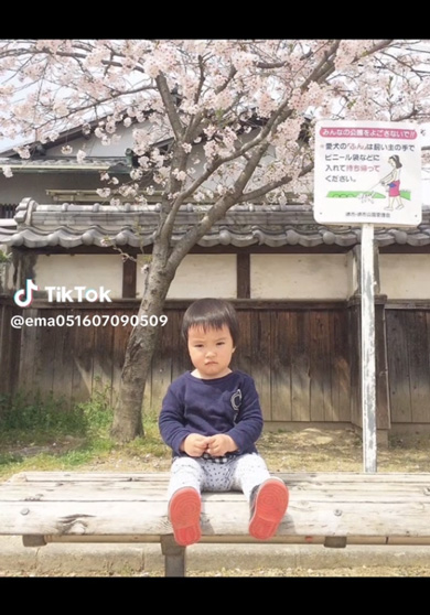 桜の下 10年間 写真 撮り続けたら 成長記録 赤ちゃん 兄弟 家族 増える 同じ場所