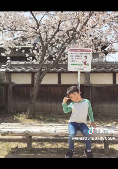 桜の下 10年間 写真 撮り続けたら 成長記録 赤ちゃん 兄弟 家族 増える 同じ場所