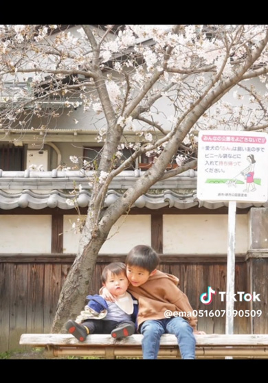 桜の下 10年間 写真 撮り続けたら 成長記録 赤ちゃん 兄弟 家族 増える 同じ場所
